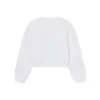 Daisy Logo Box-genser