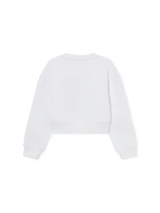 Daisy Logo Box-genser