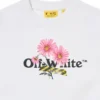 Daisy Logo Box-genser
