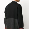 FW20 Genser Herre Flerfarget
