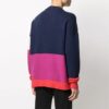 SS21 Colorblock Logo Rundhals Langermet Blå