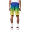 SS22 Shorts med gradienttrykk, flerfarget